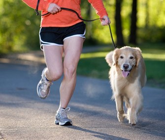 image from http://www.vetstreet.com/our-pet-experts/ready-set-go-running-with-your-dog 